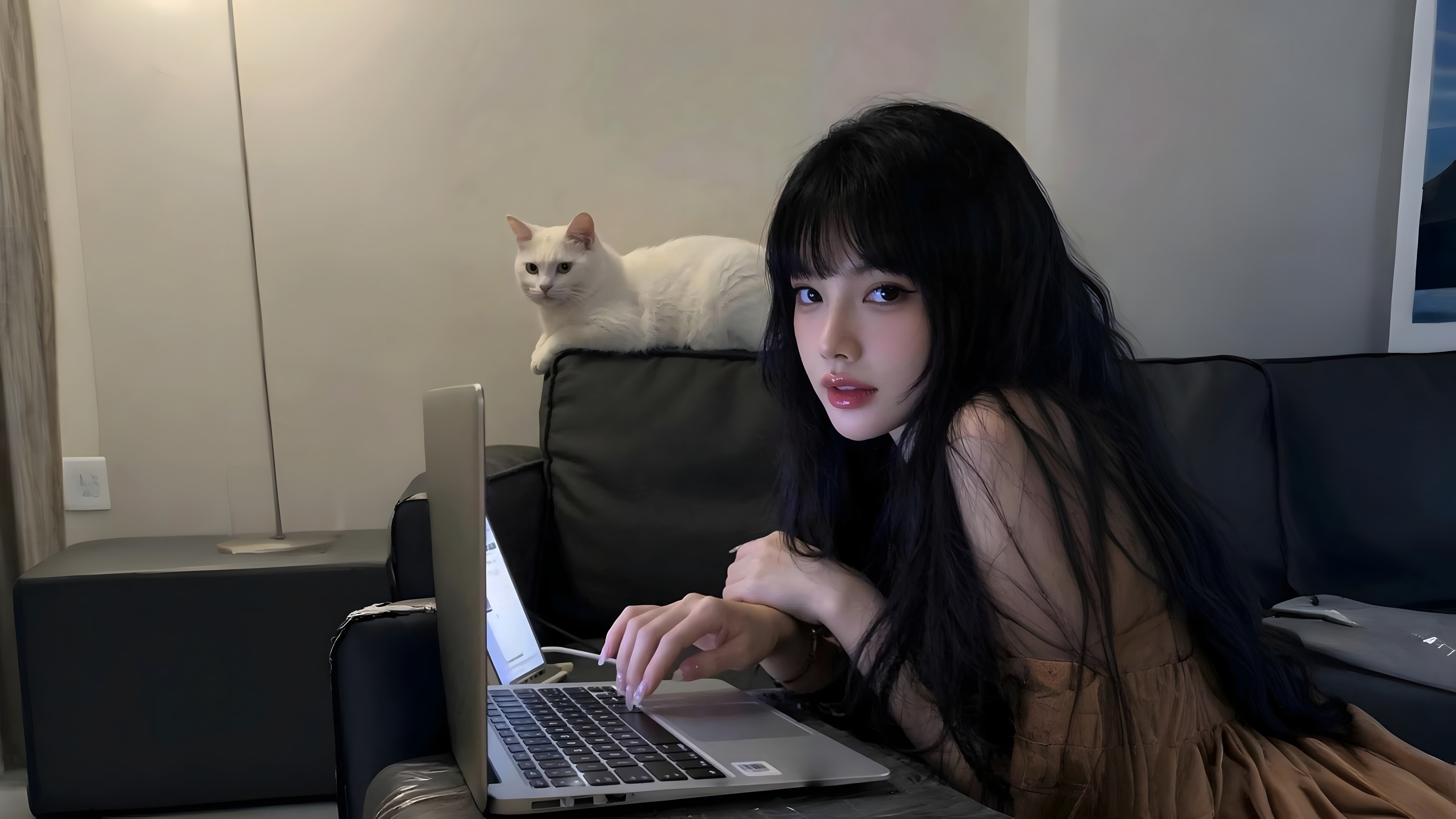 小缘导航网